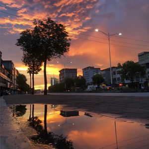 国产成a人亚洲精v品无码
