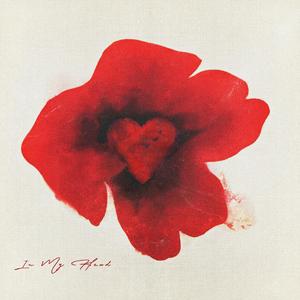 互联网广告小驴导航
