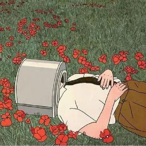 伊人网在线视频
