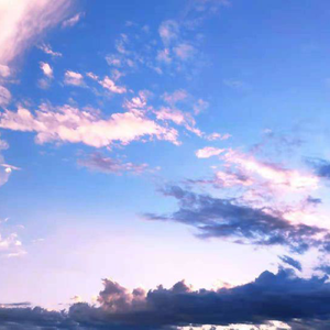 一区二区在线一区二区在线
